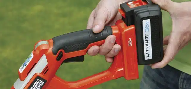 Black & Decker GLC3630l20 : le meilleur coupe-bordure en 2018 ?